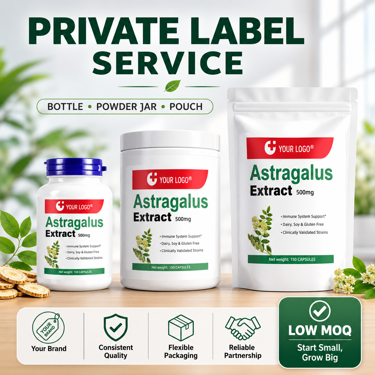 Astragalus Extract Capsules10 Astragalus Extract Capsules10