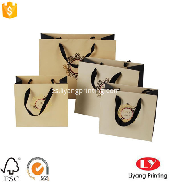 Bolsa de regalo de papel Paper Gift Bag