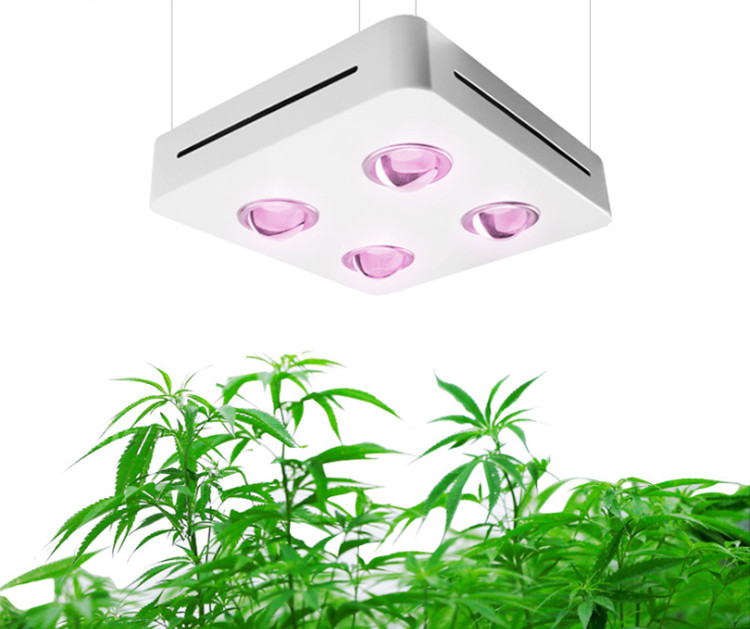 Diy Grow Light