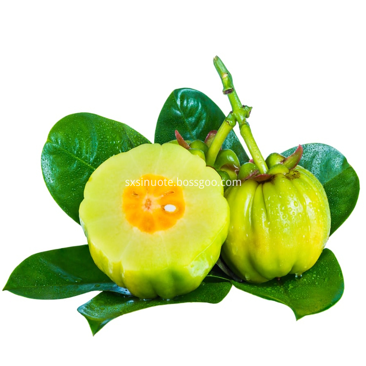 Garcinia Cambogia Extract Garcinia Cambogia Extract