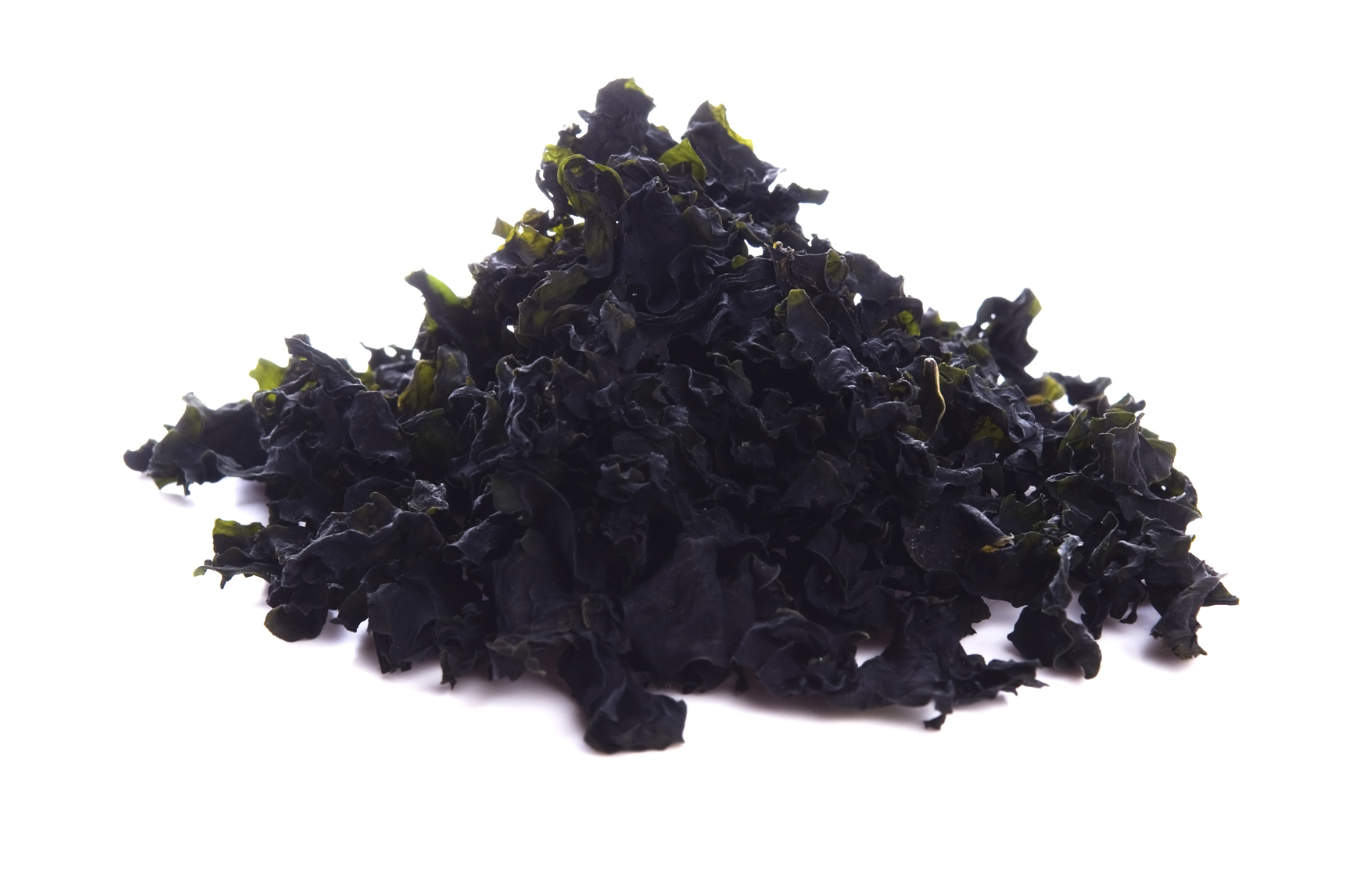 Brown Algae Extract (1) Brown Algae Extract (1)