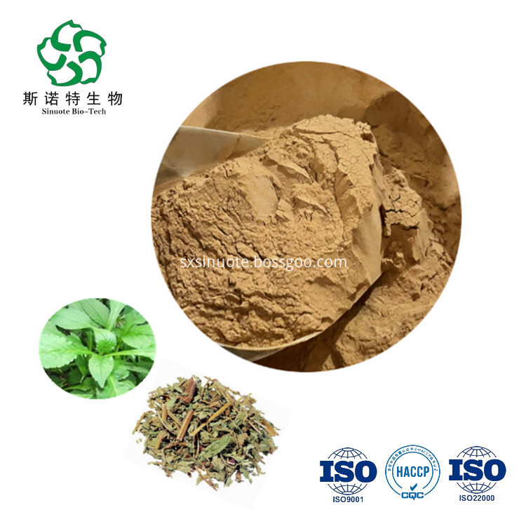 Whiteflower Patrinia Powder Extract Whiteflower Patrinia Powder Extract