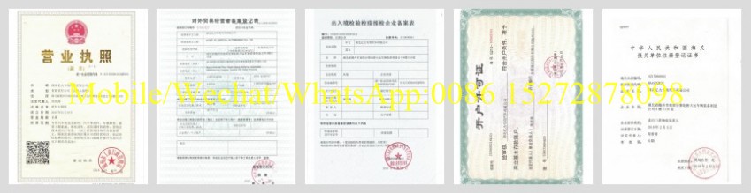 Main Certification Main Certification