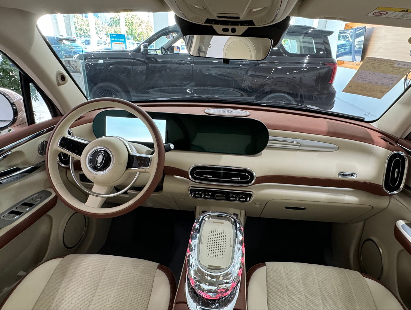 Elegant Pure Electric Elegant Pure Electric