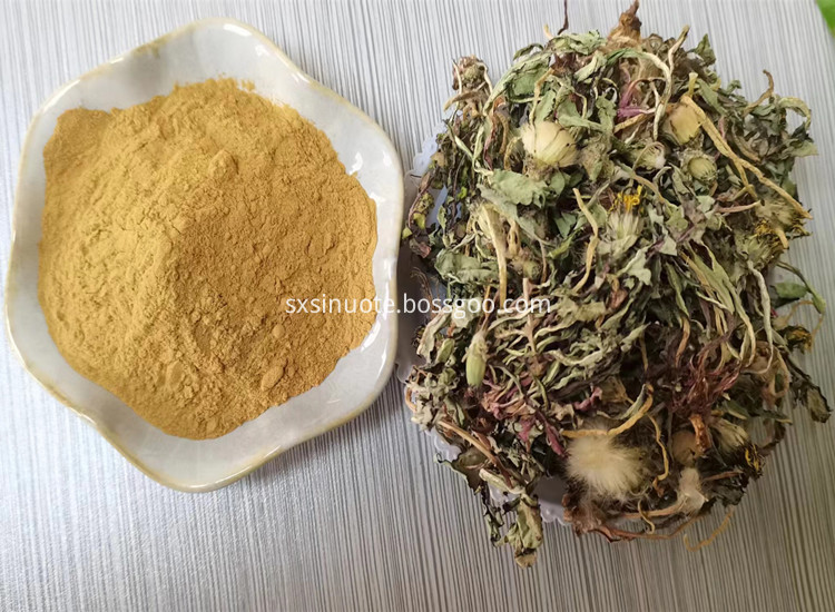 Dandelion Rootextract Dandelion Rootextract