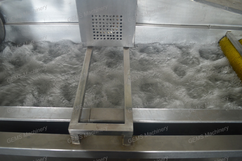 fruit washing machine12 fruit washing machine12