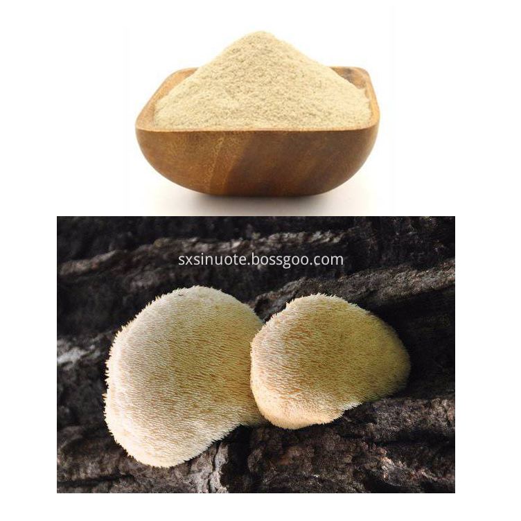 Hericium Erinaceus Extract Hericium Erinaceus Extract