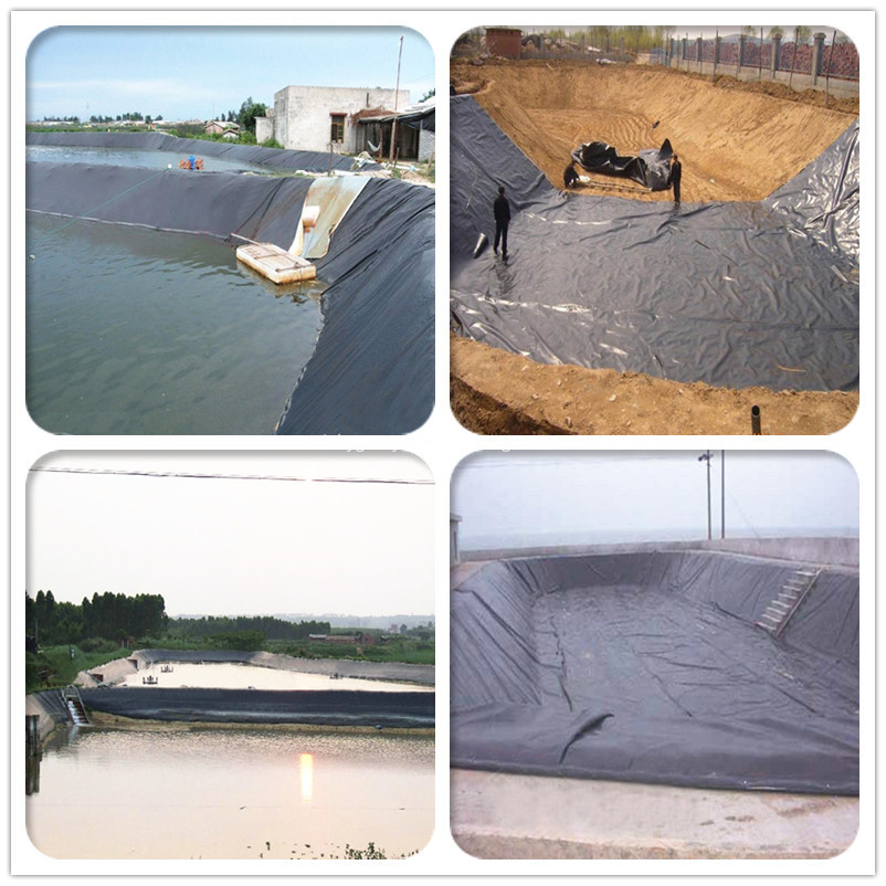 Geosynthetics HDPE Geomembrane Geosynthetics HDPE Geomembrane