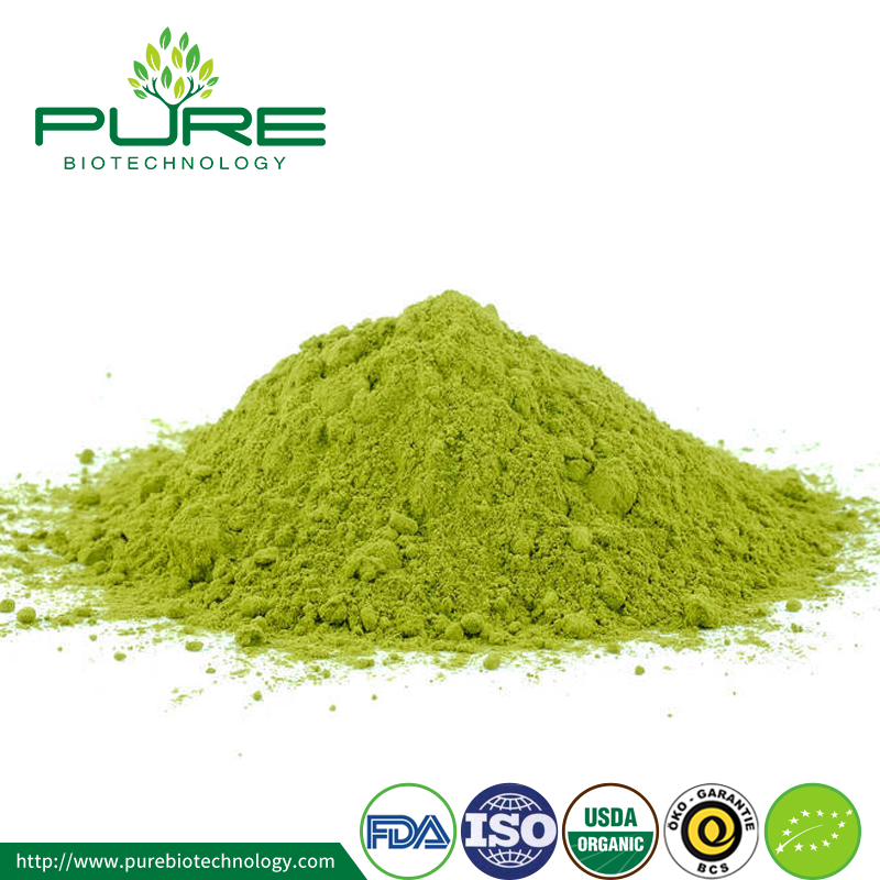 Matcha Green Tea Extract Powder Matcha Green Tea Extract Powder