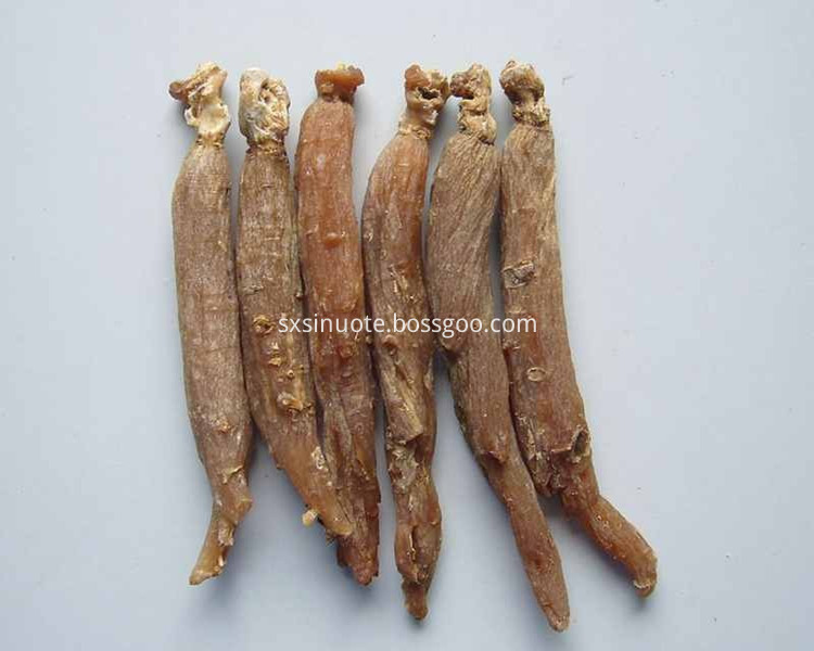 Red Ginseng Red Ginseng