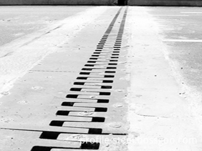 Finger Expansion Joint Finger Expansion Joint
