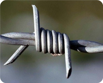 Reverse twist barbed wire