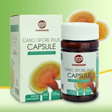 ganoderma capsule