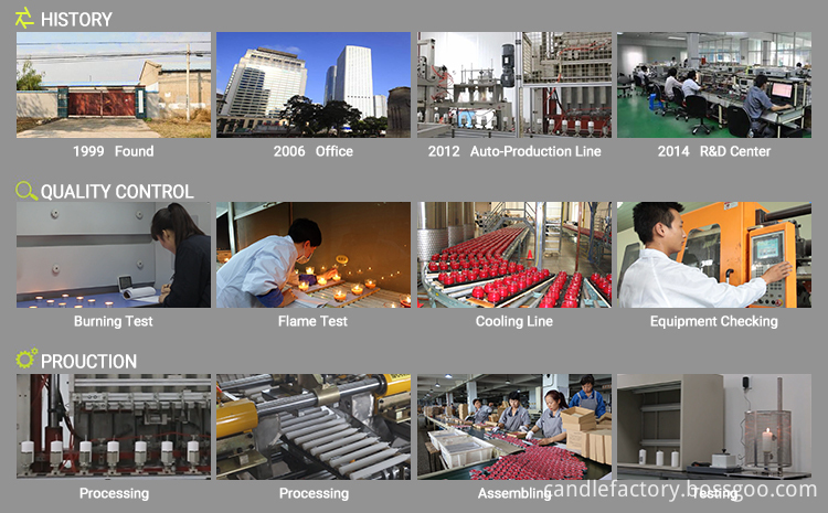 8 Company Information 8 Company Information