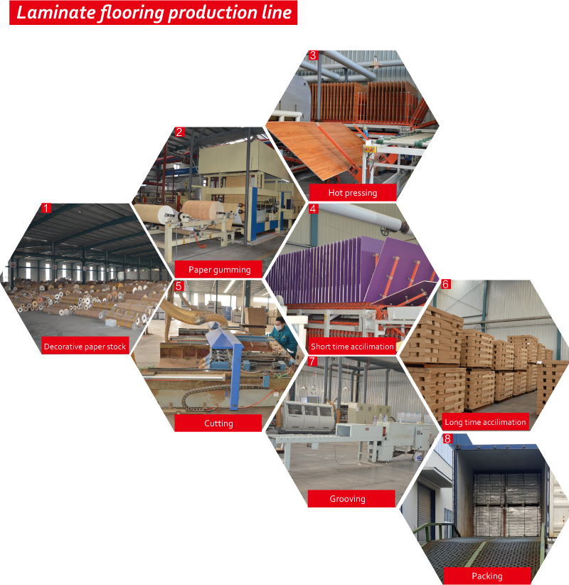 8 mm E.I.R. Podłogi laminowane z drewna 8mm E.I.R. Wood Laminated Flooring