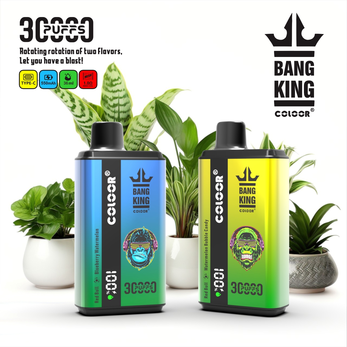 bang_king_30000-16 bang_king_30000-16
