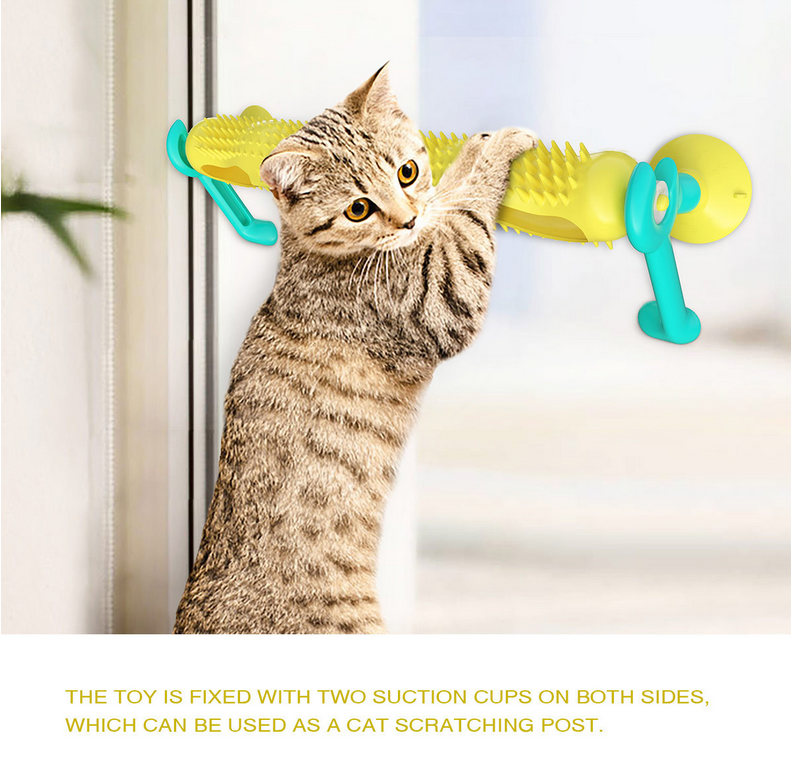 Cat Toys Amazon Cat Toys Amazon