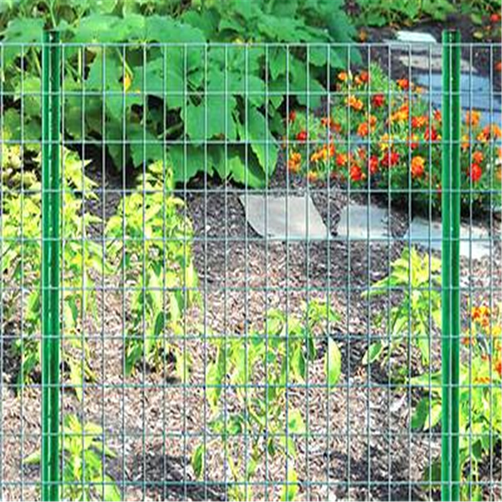 PVC Welded Wire Mesh For Garden Fencing China Manufacturer