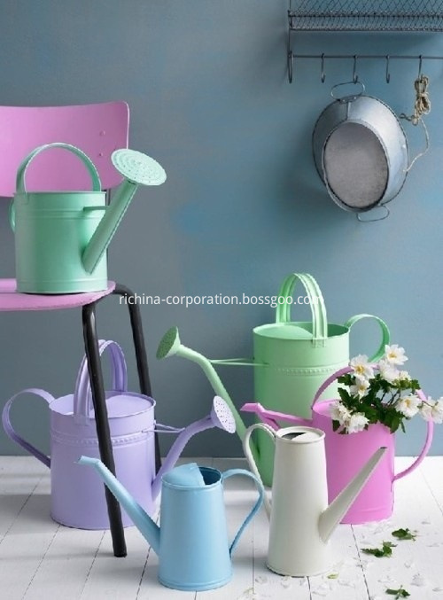 Galvanized Watering Cans