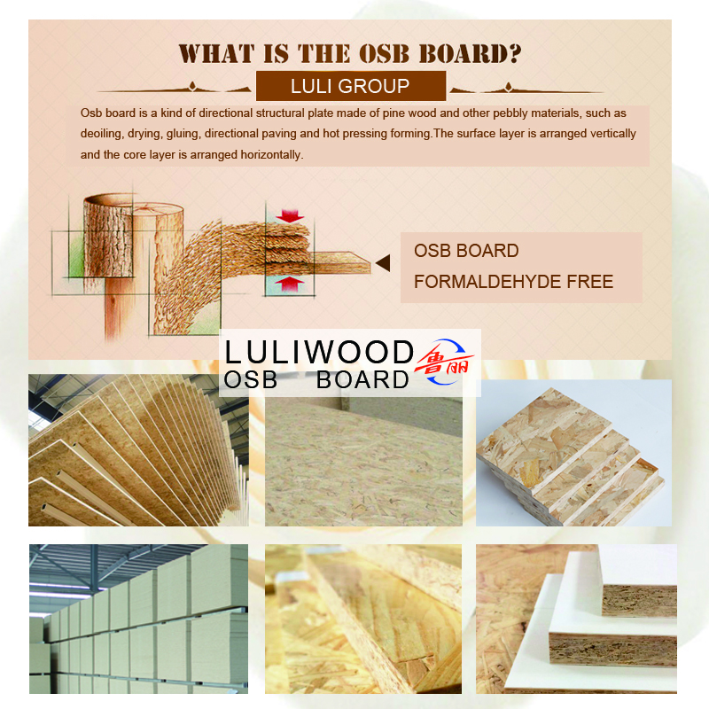 샐리 20의 luliwood osb 보드 luliwood osb board of sally 20