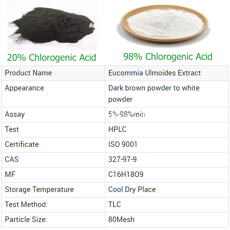 Eucommia Ulmoides Extract Eucommia Ulmoides Extract