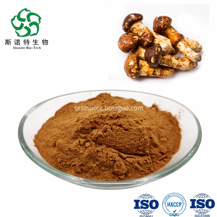 Tricholoma Matsutake Extract Tricholoma Matsutake Extract
