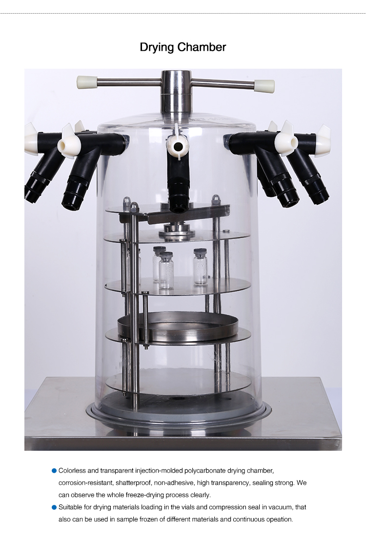 Laboratory Use Vacuum Mini Freeze Dryer Lyophilizer For Vial