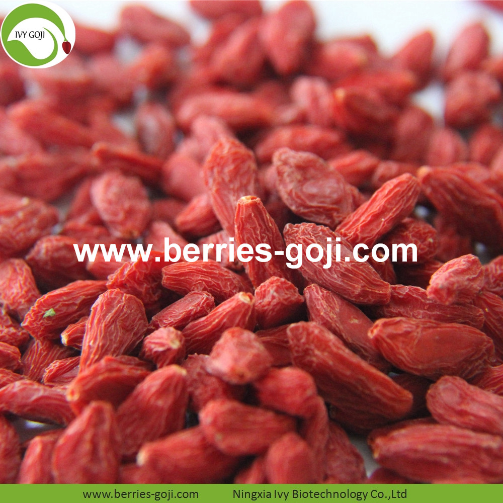 Goji Berries Goji Berries