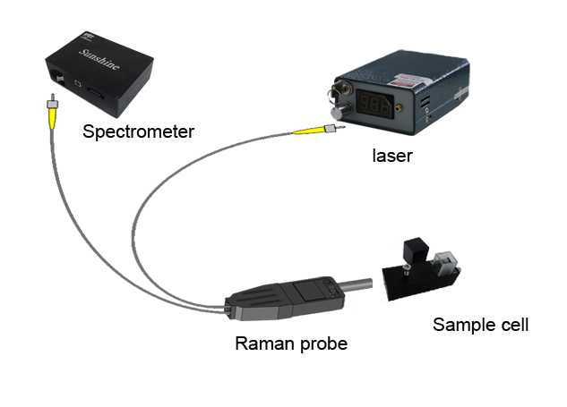 Raman spectrum measurement device 