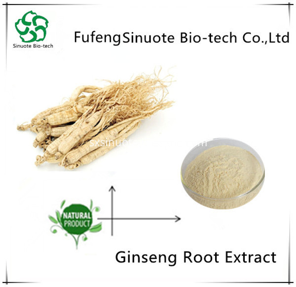 Ginsent Root Extract Ginsent Root Extract