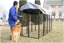 welded wire dog kennel