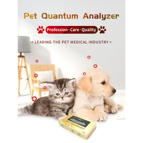 quantum resonance analyzer with free software for animals for Sale, quantum resonance analyzer with free software for animals wholesale From China