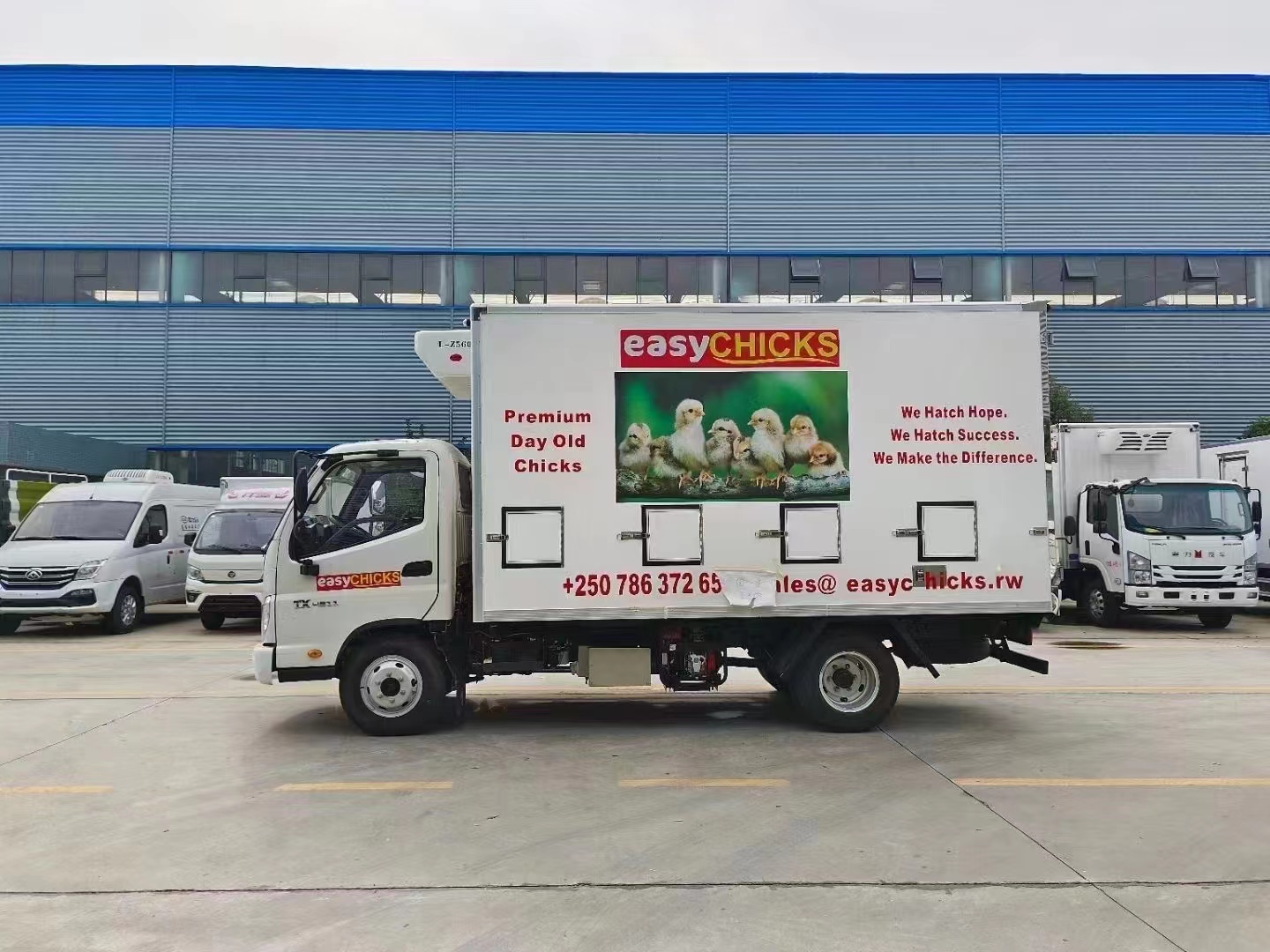 FOTON Chicker Carrier (2) FOTON Chicker Carrier (2)