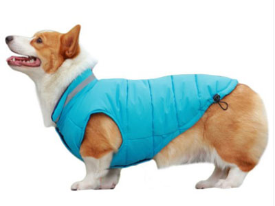 Pet Autumn And Winter Wear
