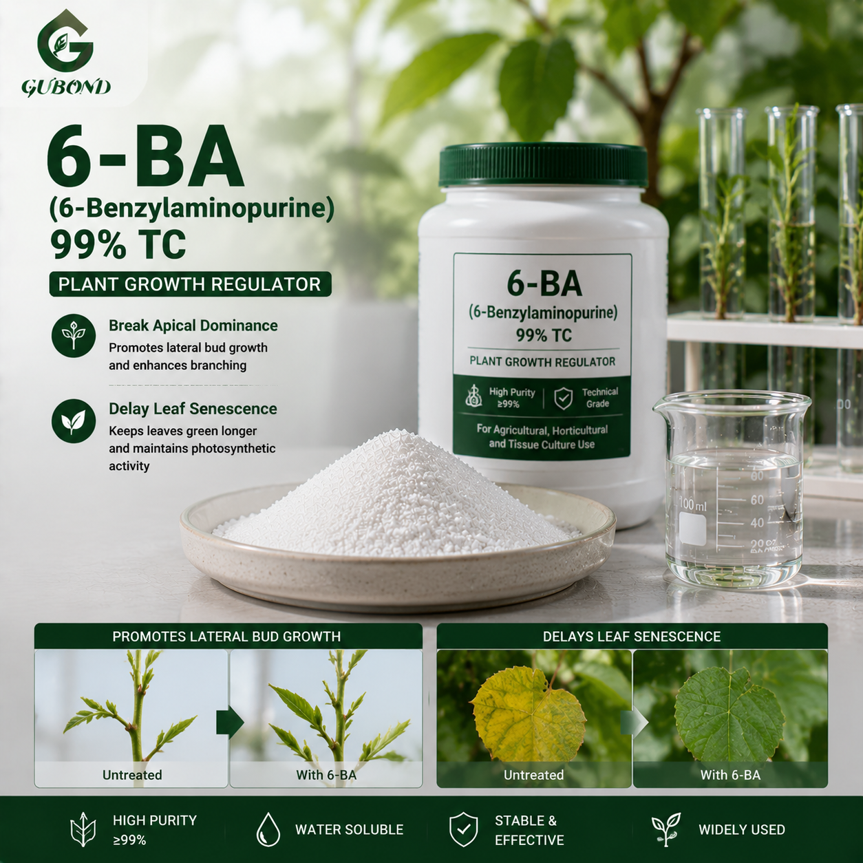 6-BA 6-Benzylaminopurine (2) 6-BA 6-Benzylaminopurine (2)