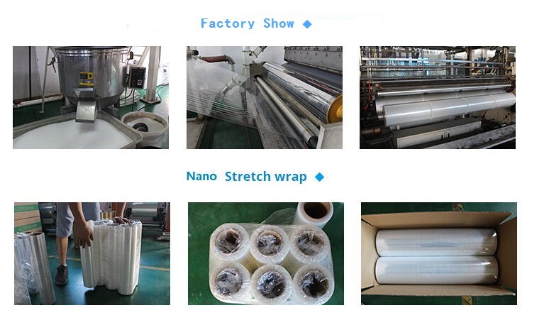 processo process