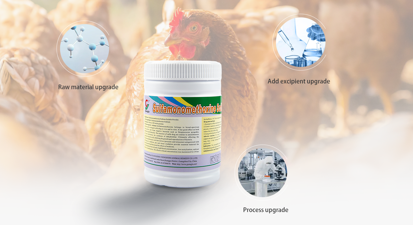 _20250417143156 _20250417143156