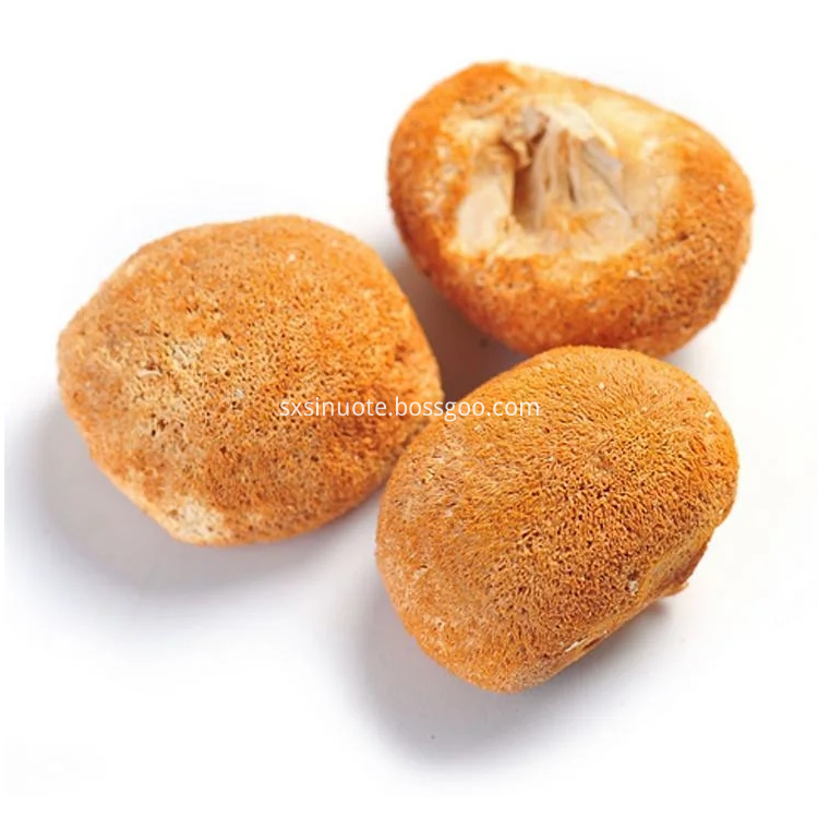 Lion S Mane Extract Lion S Mane Extract