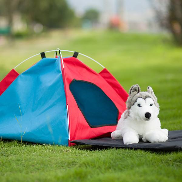 Pet Tent