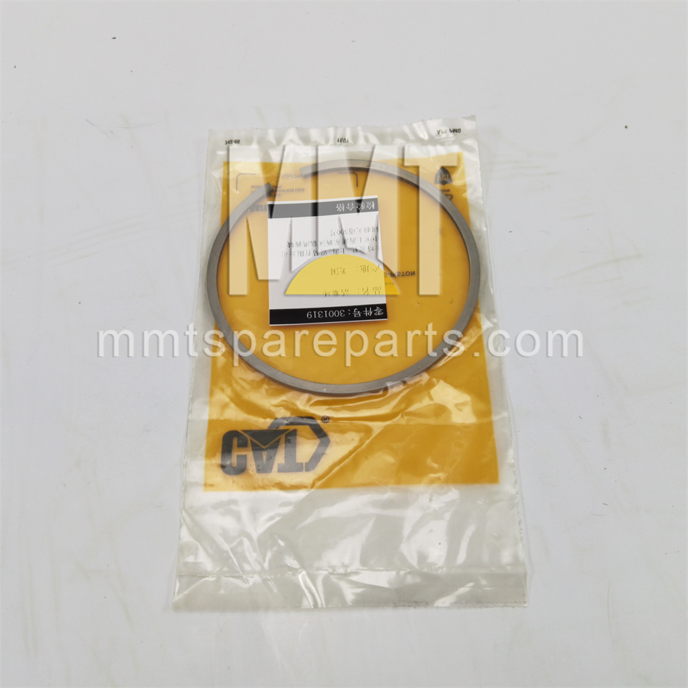Piston ring 300-1319 Piston ring 300-1319