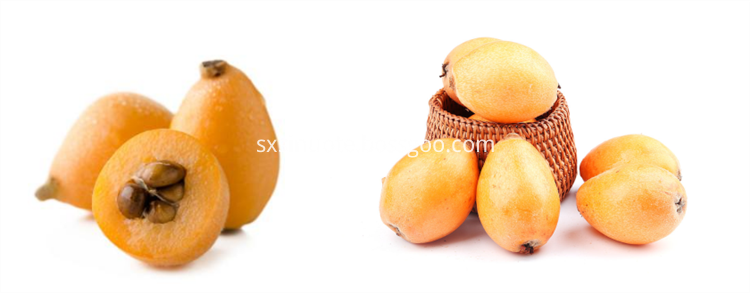 Loquat Fruit Powder For Food Loquat Fruit Powder For Food