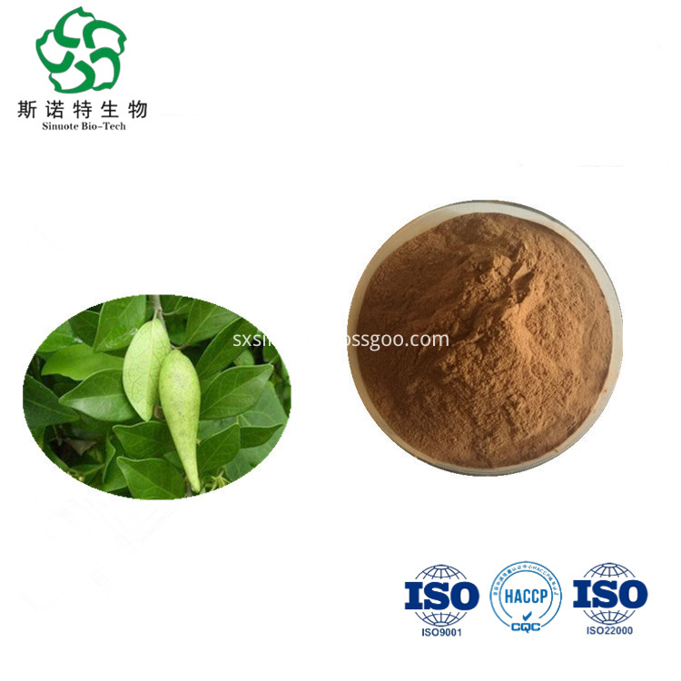 Gymnema Sylvestre Extract Gymnema Sylvestre Extract