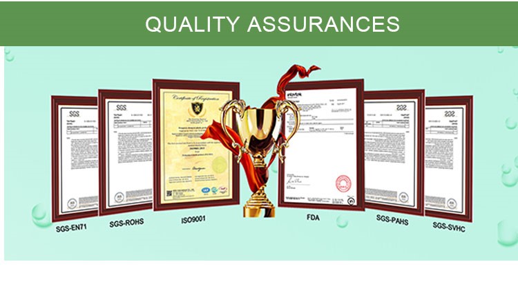 Certification Certification