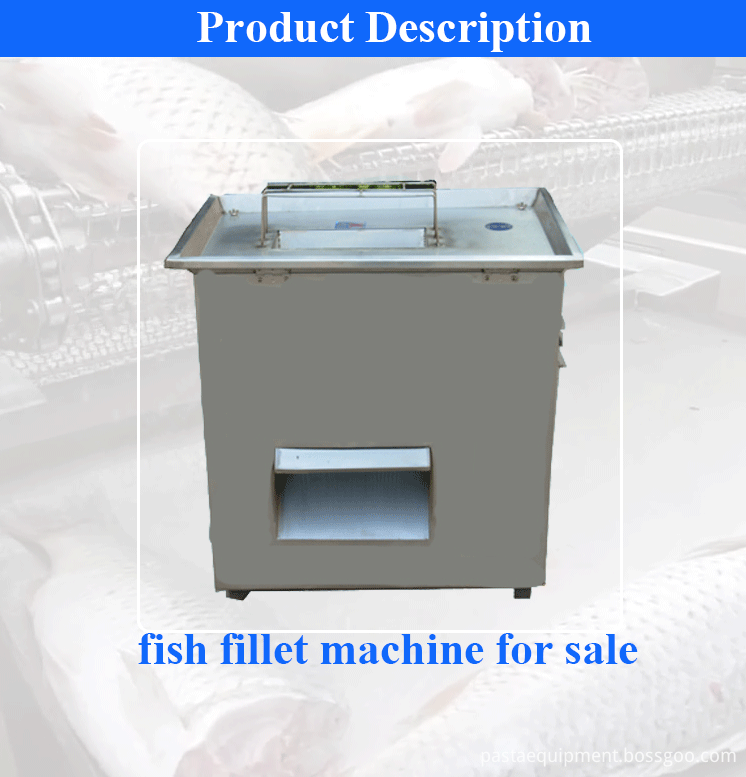 Fish Cutting Machine 01