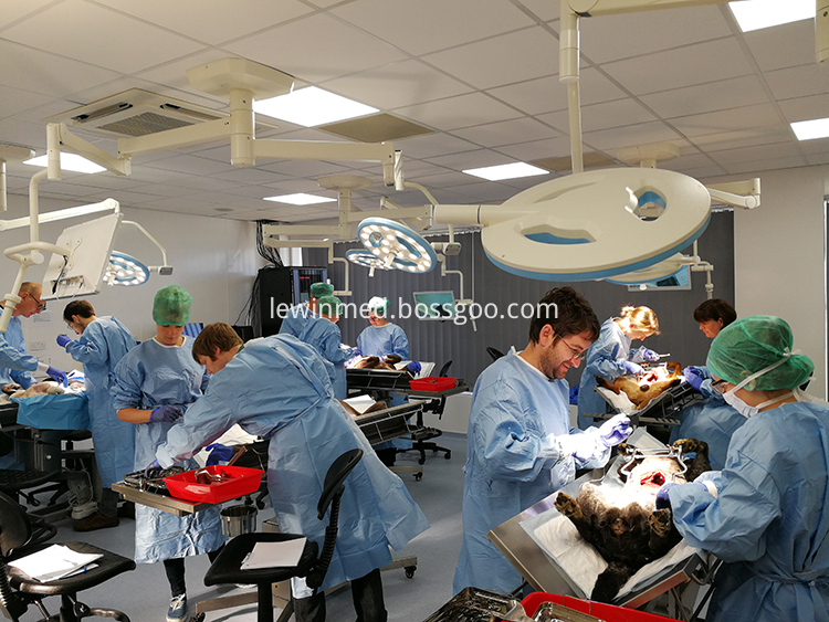 Led Surgical Light Led Surgical Light