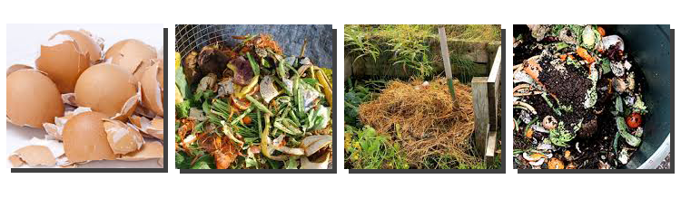 Compost activator Compost activator