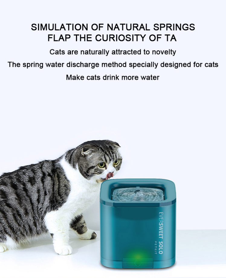 Pet Smart Water Dispenser Solo Pet Smart Water Dispenser Solo