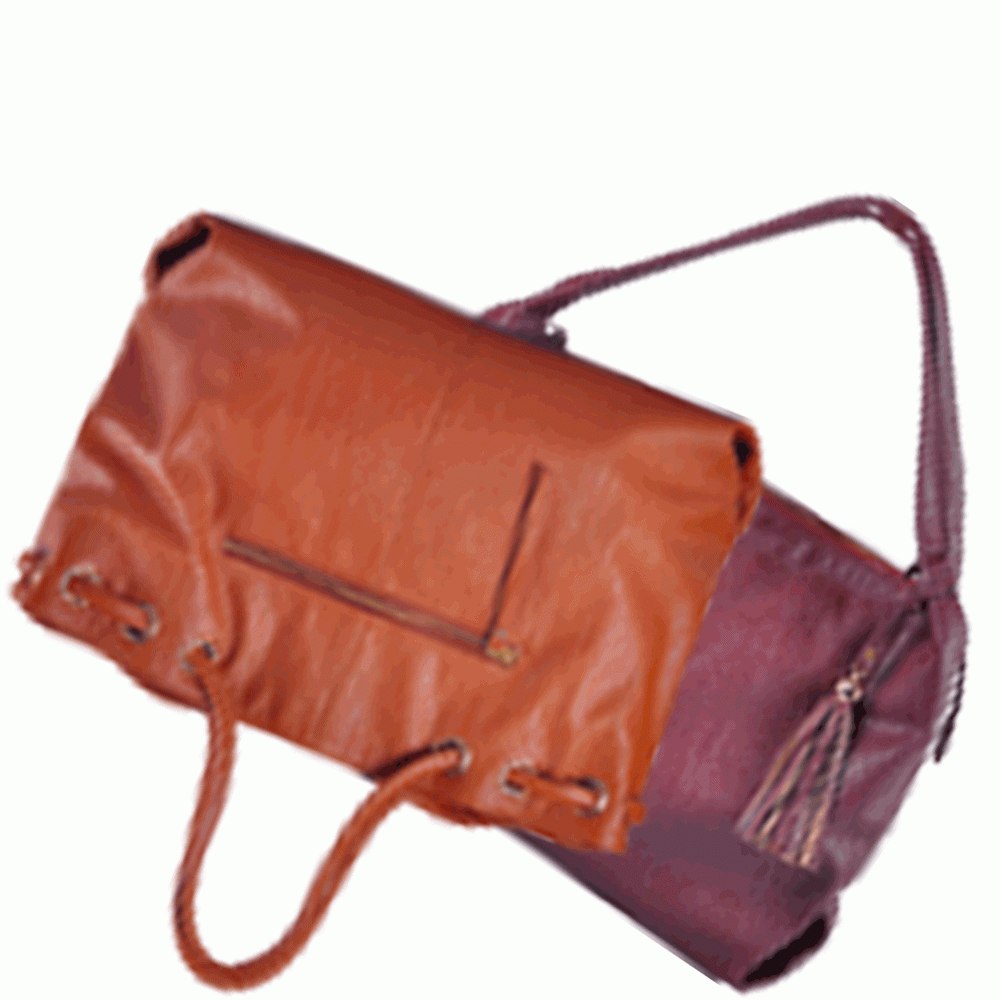 Women S Handbag