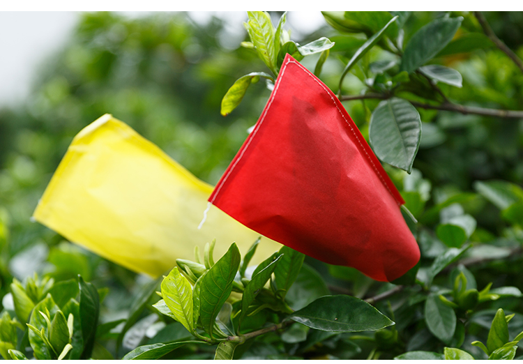 Fruit Basket Wrapping Paper Fruit Basket Wrapping Paper