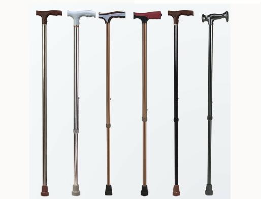 walking stick walking stick
